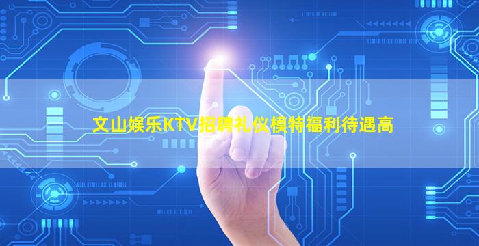文山娱乐KTV招聘礼仪模特福利待遇高